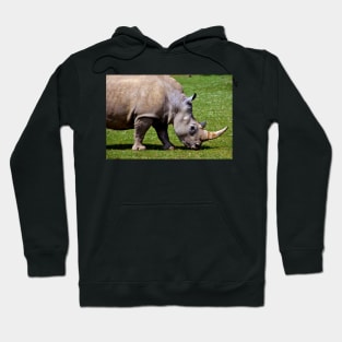 Southern White Rhino Rhinoceros Hoodie